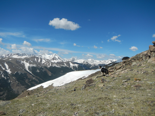 Republican Mountain & Sherman Mountain – Colorado Trip Report