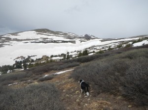 Silver PLume Mountain