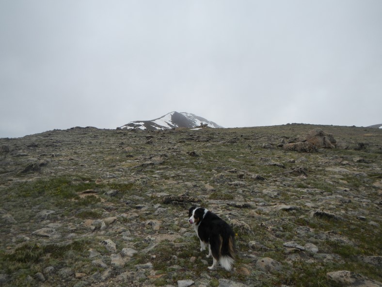 Nearing the summit, which is a spiky, crown of rock at the top of a modest hill. 
