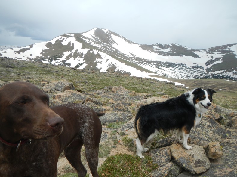 Lucy and Fremont with Bard Peak in the background. 