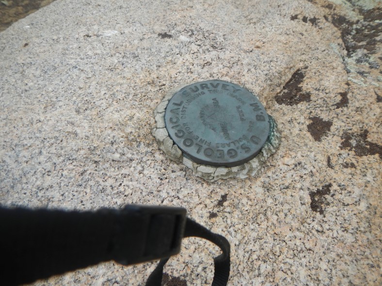 The official summit marker on Silver Plume Mountain's highest point. 
