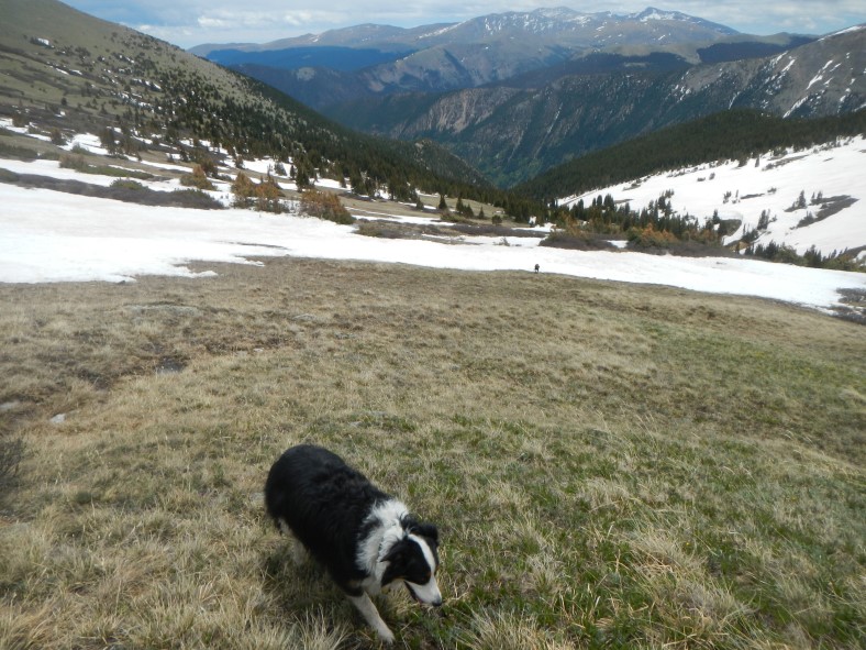 browns gulch silver plume mountain