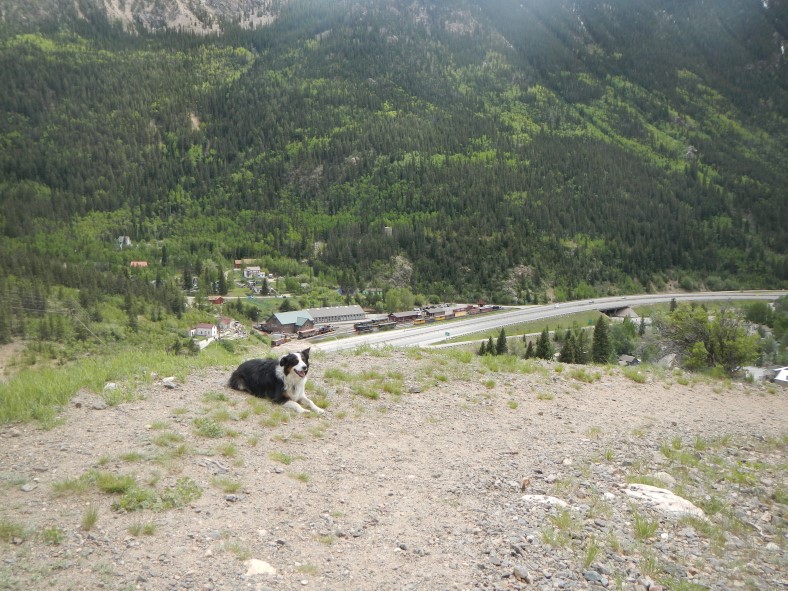 Fremont takes a break on our last switchback above Silver Plume. 