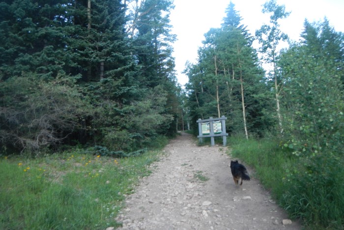 Deer Creek Trailhead Denver