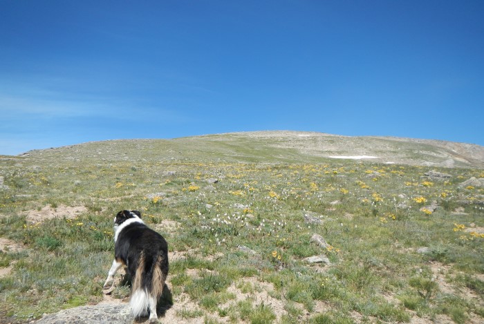 Rosalie Peak saddle