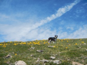 Rosalie Peak Colorado front range