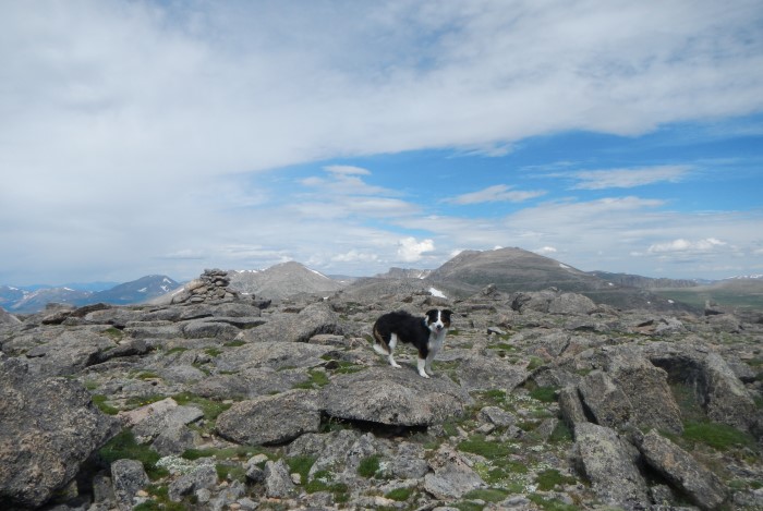 Rosalie Peak Colorado summit