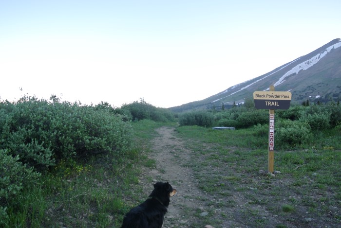 Black Powder Pass Boreas Pass