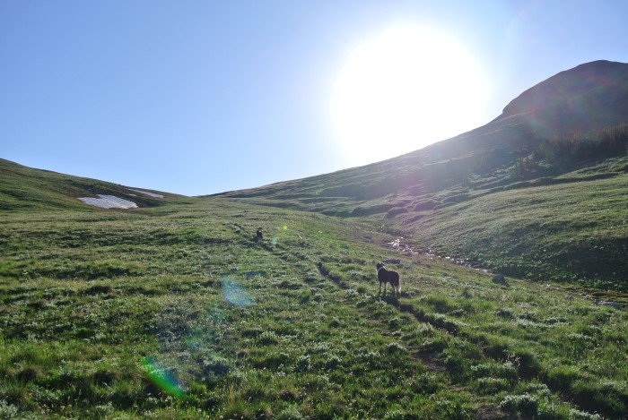 black powder pass colorado