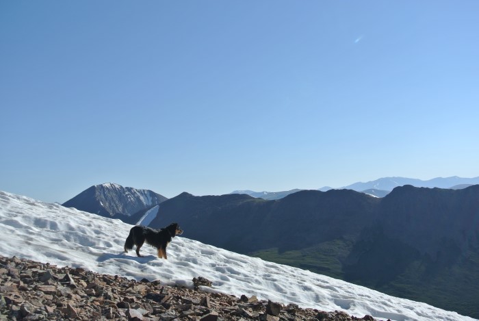 mount guyot from bald mountain