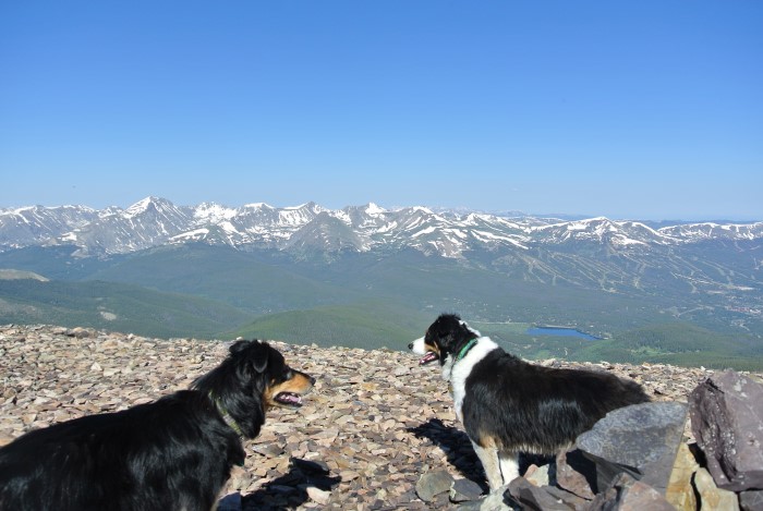 Tenmile Range views