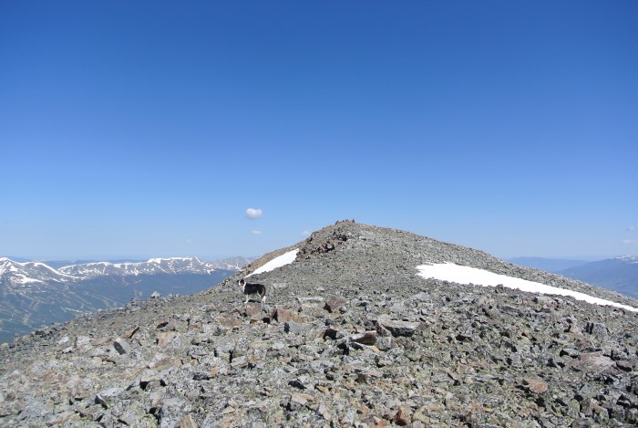 Bald Mountain summit