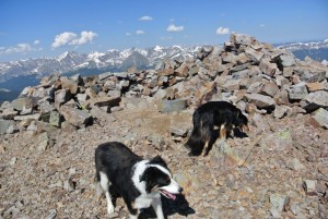 Bald Mountain summit