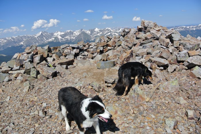 Bald Mountain summit