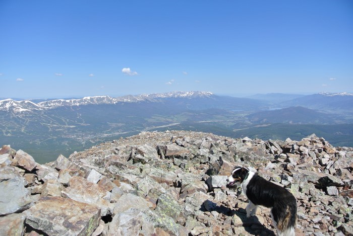 Bald Mtn summit