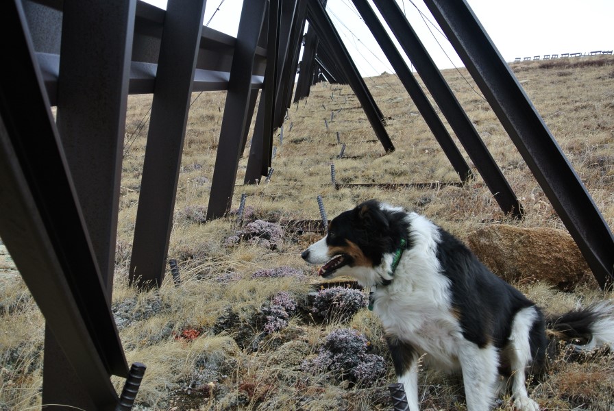 Mount Bethel Snow fence