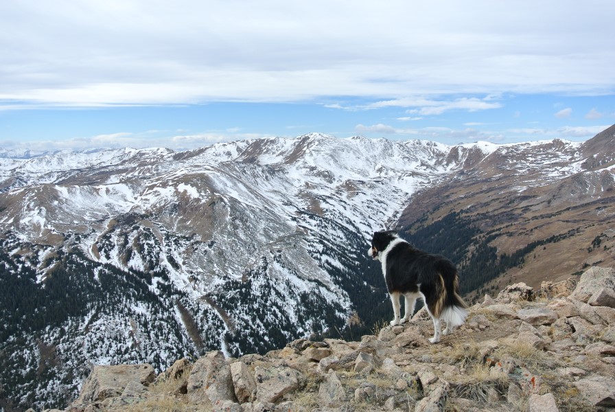 dry gulch colorado