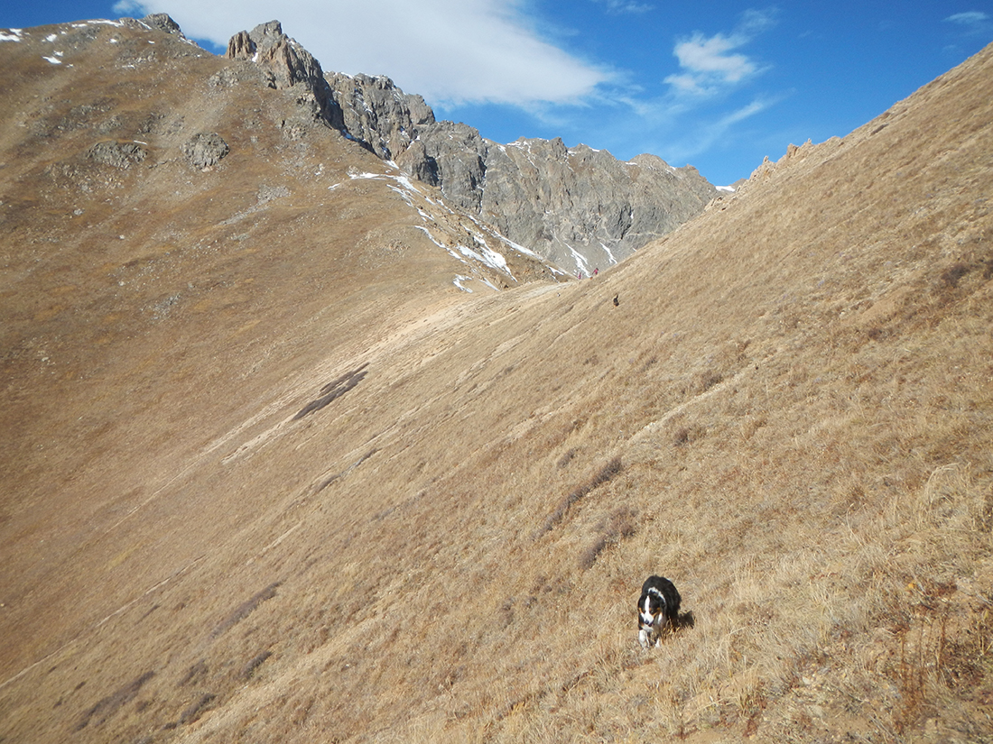 The saddle between the Citadel and Pt. 12,671. 