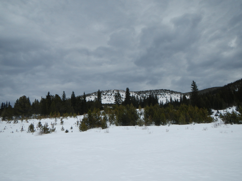 Baltimore Ridge Colorado