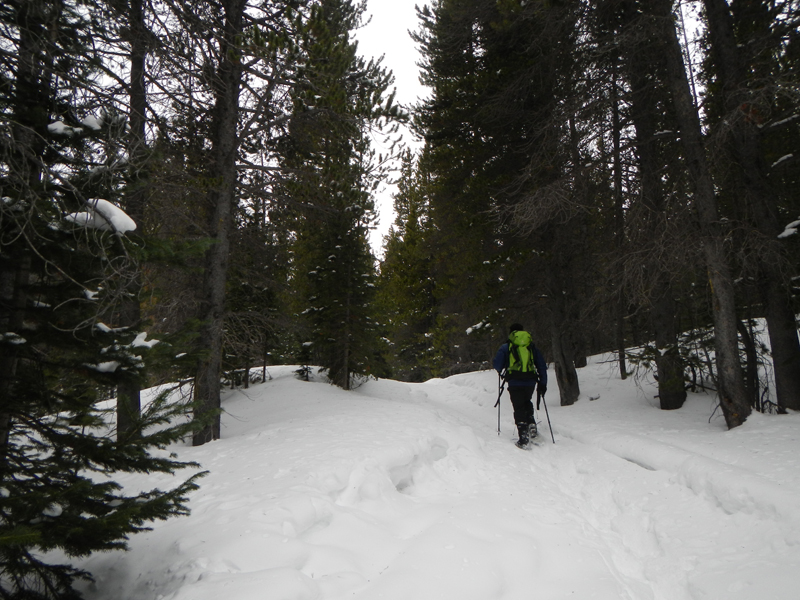 Mammoth Gulch Jeep Road