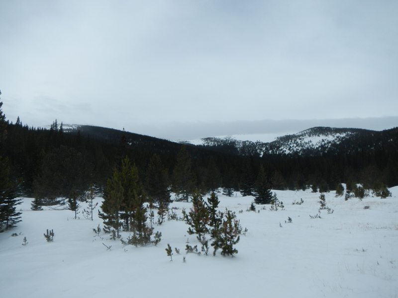 The upper clearing at precisely 10,000 ft. above sea level. 