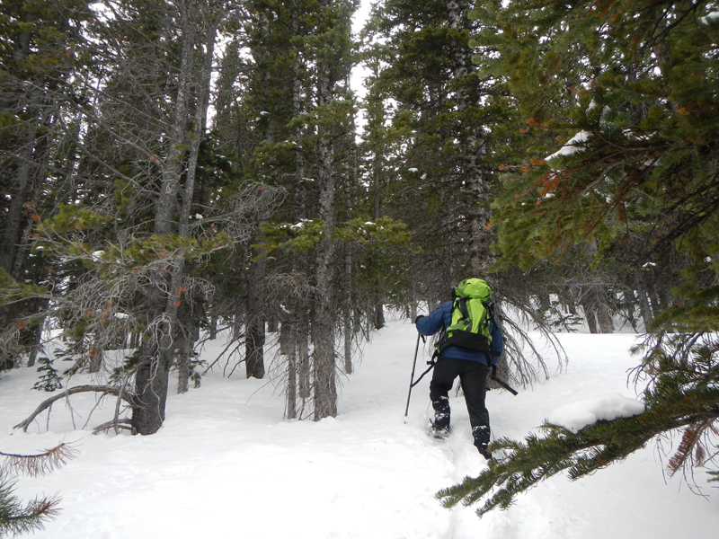 David grinding up through the powder along the shoulder of Nebraska Hill. 