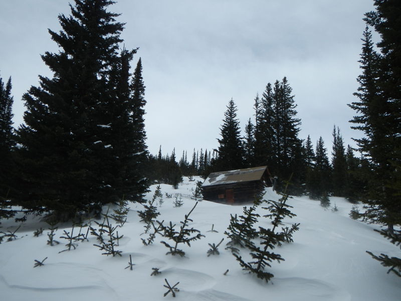 Creepy Cabin