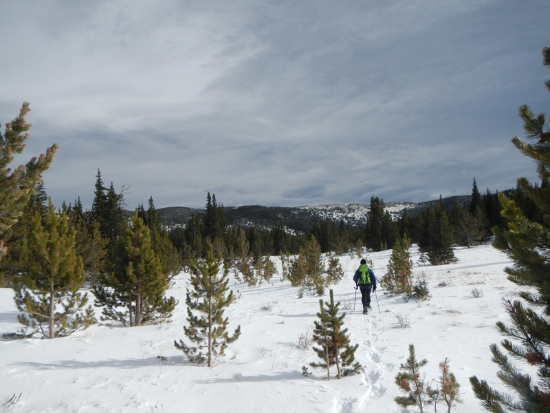 Upper clearing looking east. 