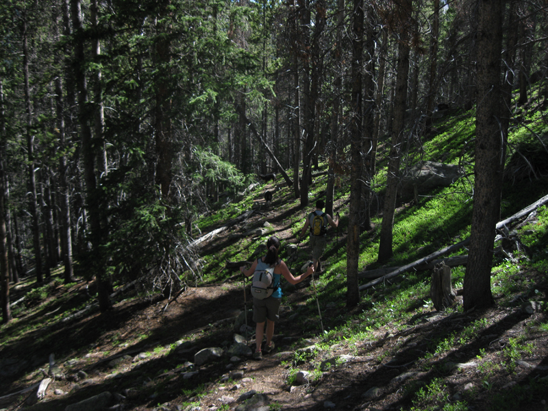 Bard Creek Trail Colorado