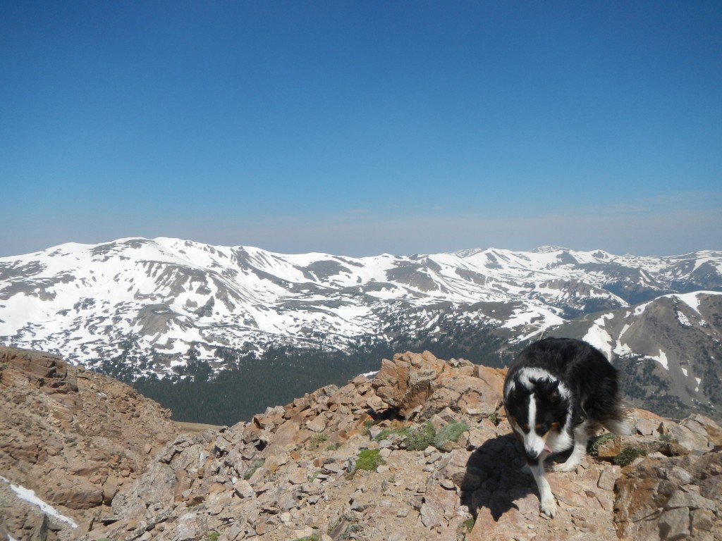 Watrous Gulch