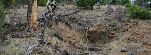 Mine ruins arkansas mtn boulder colorado