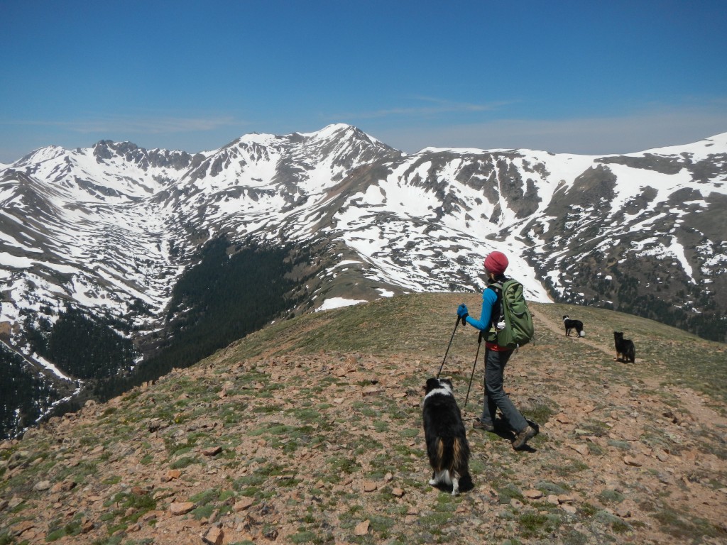 Looking into Dry Gulch from UN 12,805. 