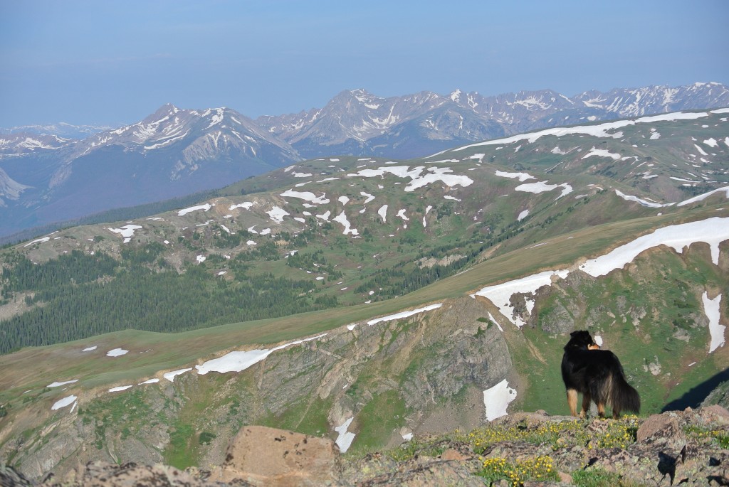 Along the Coon Hill to Ptarmigan Peak traverse in the Williams Fork Range. 