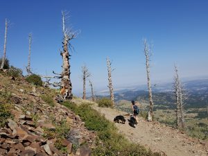Sugarloaf Mountain Boulder Colorado.