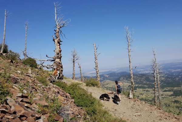 Sugarloaf Mountain Boulder Colorado.