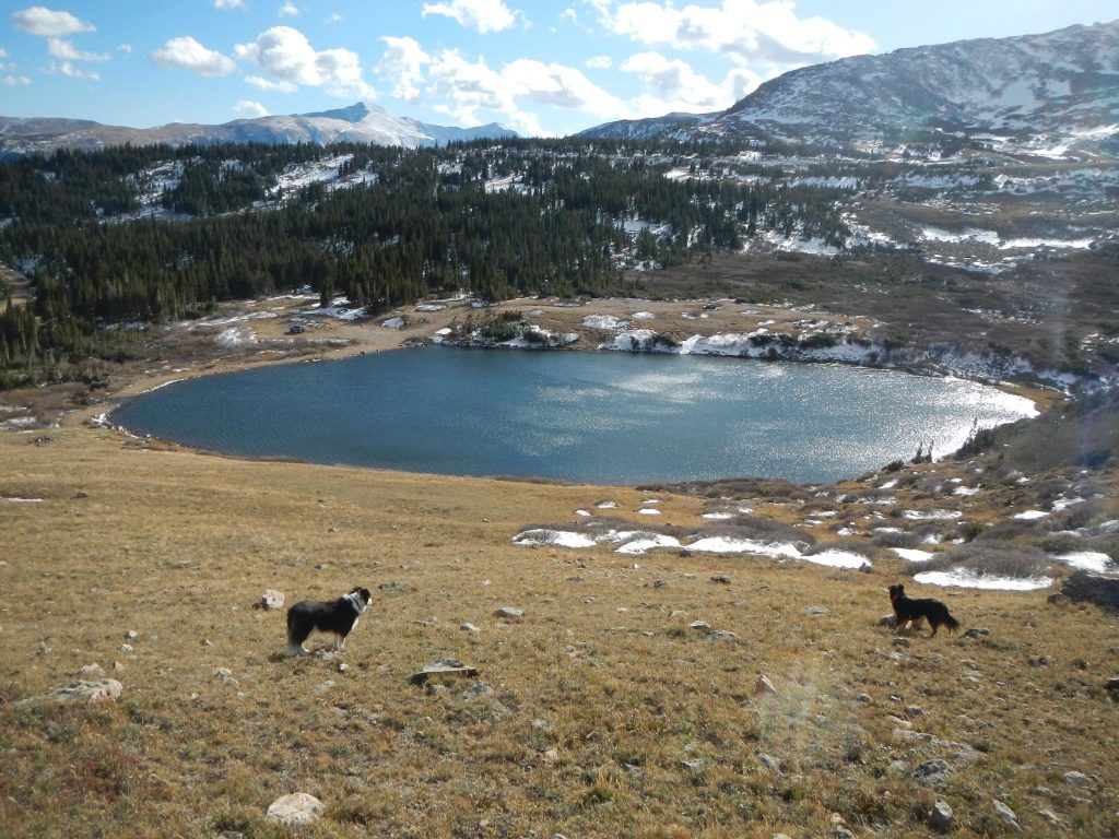 Beautiful wilderness.