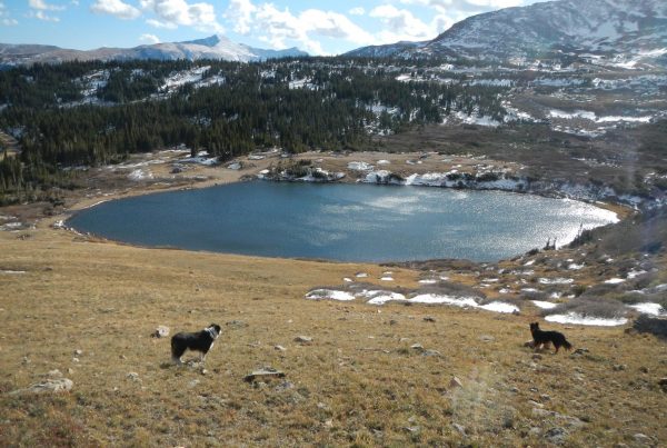 Beautiful wilderness.