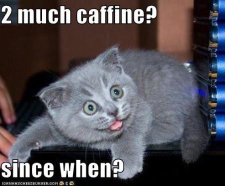 caffeine-cat