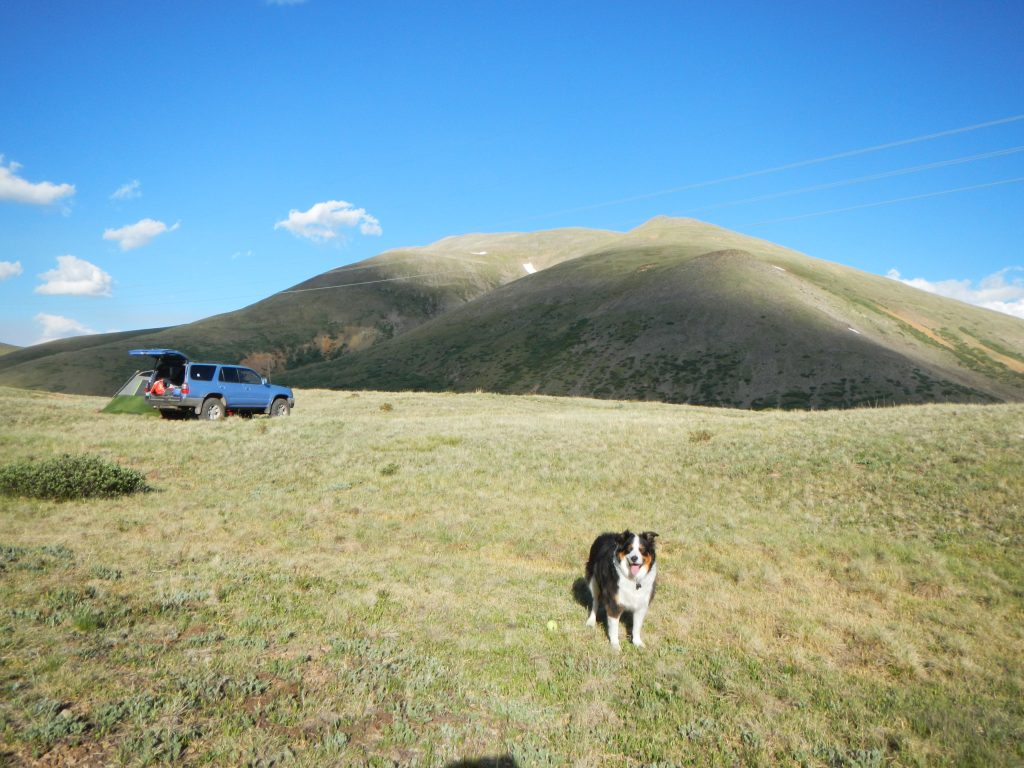 Mount Silverheels Camp