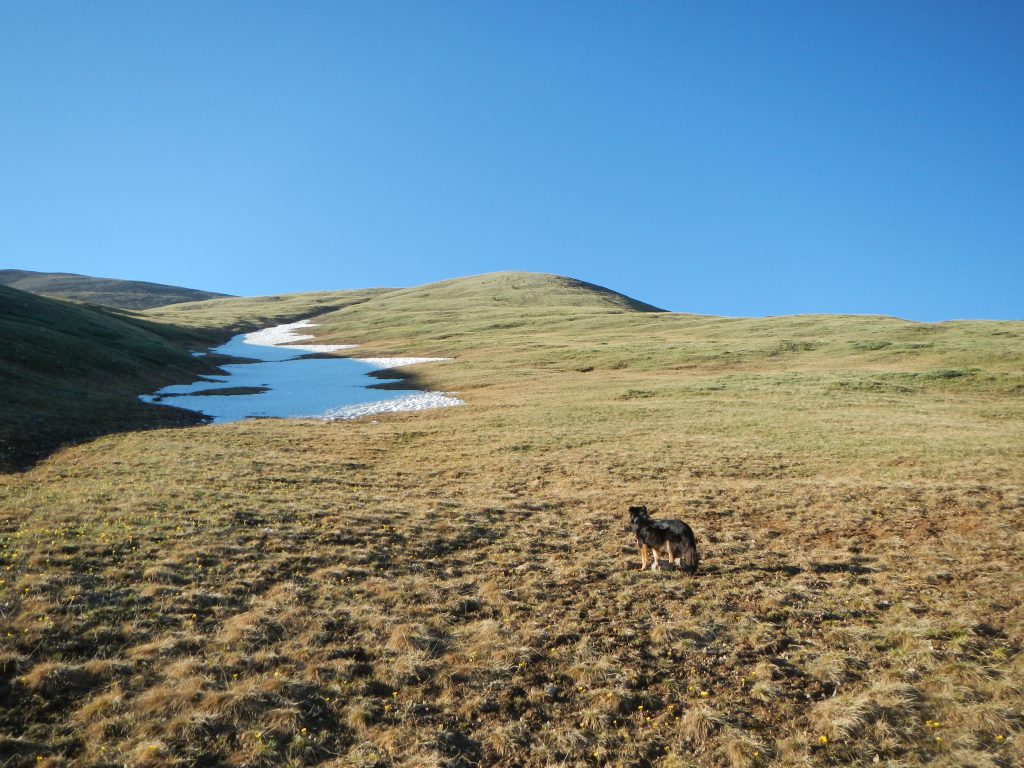 Mount Silverheels Approach