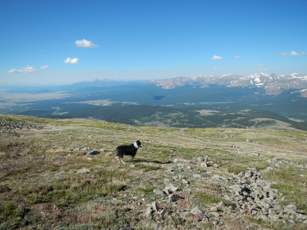 The views to the south of South Park aren't too shabby either. Good boy, Fremont!