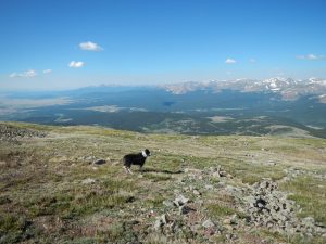 The views to the south of South Park aren't too shabby either. Good boy, Fremont!
