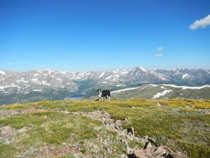 Mount Silverheels Colorado
