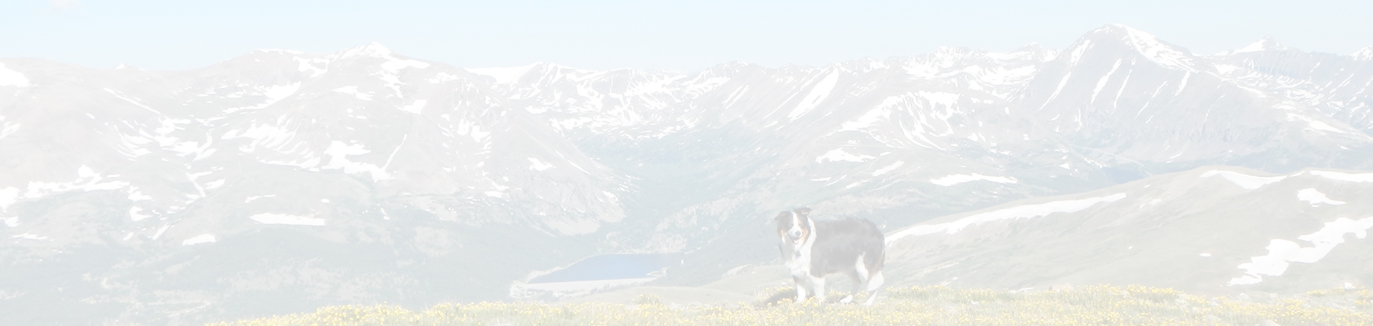 Mount Silverheels Colorado