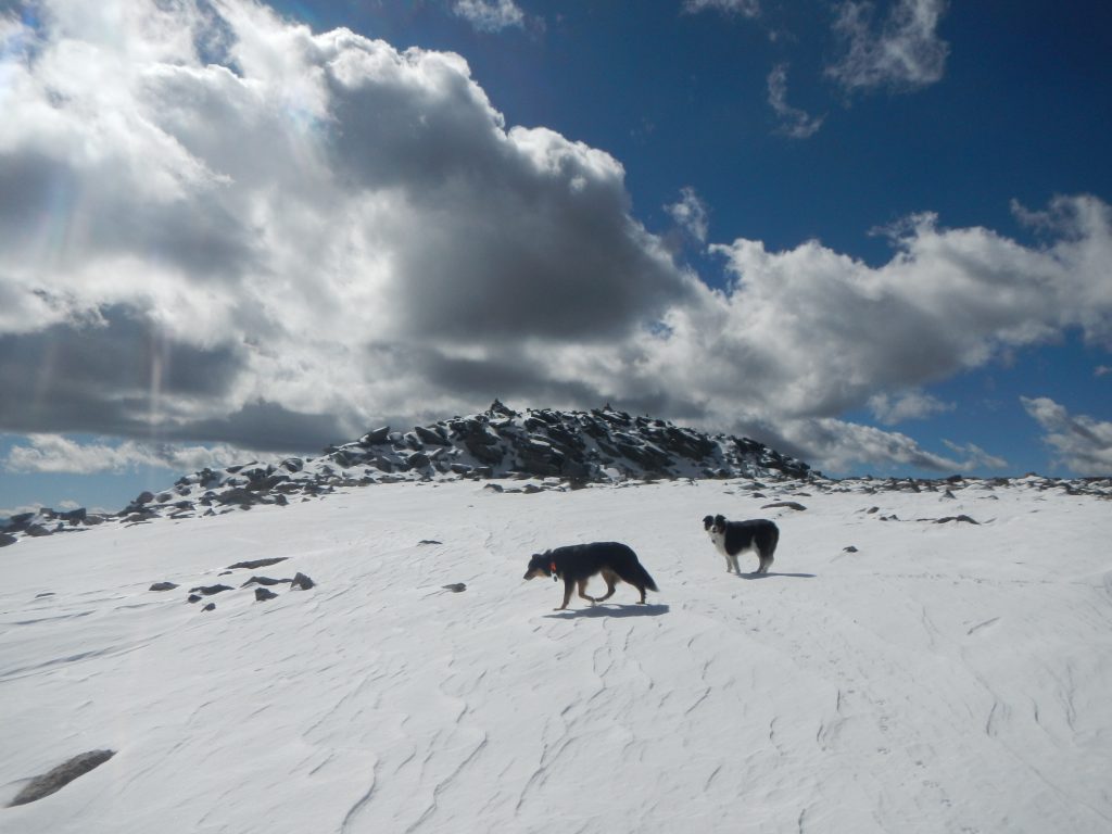 Nearing the summit block. 