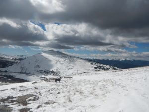 Finally! Mount Epworth appears.