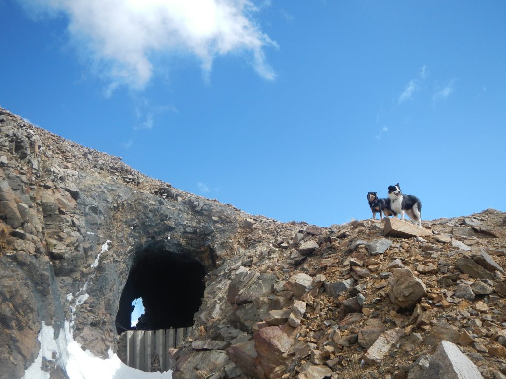 The Needle Eye Tunnel on Moffat Road. 