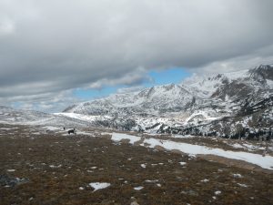 The road to the Corona townsite.
