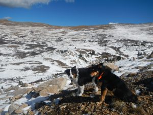 Ear-blowing wind as we near Pumphouse Lake.