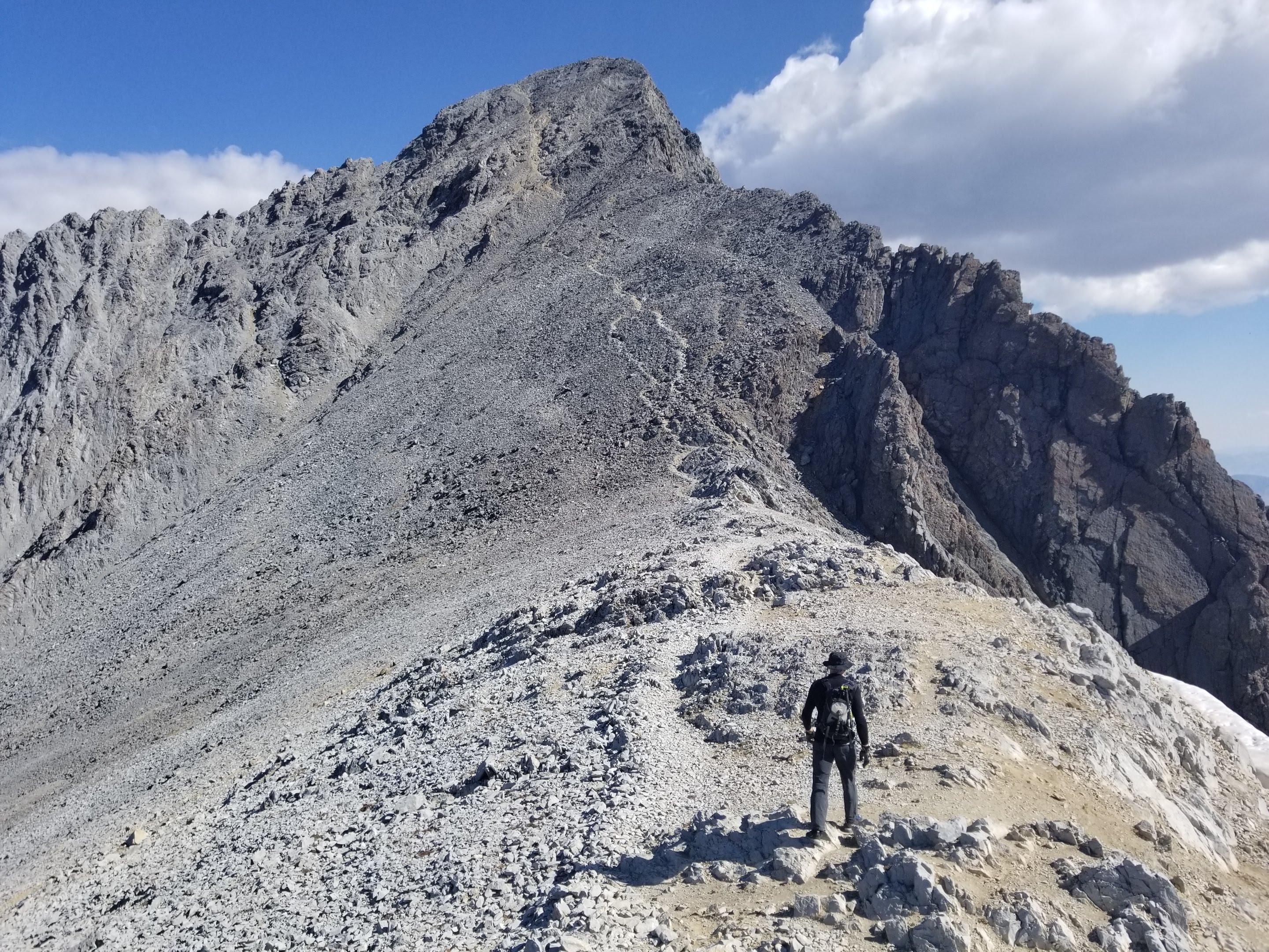 Mt borah online